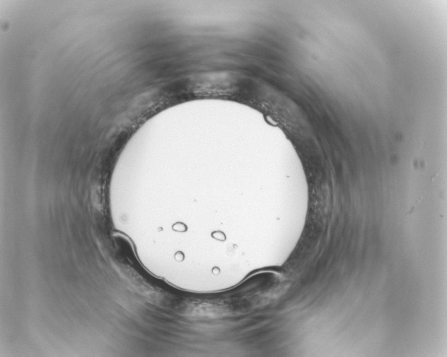 X0000088640755200706221545