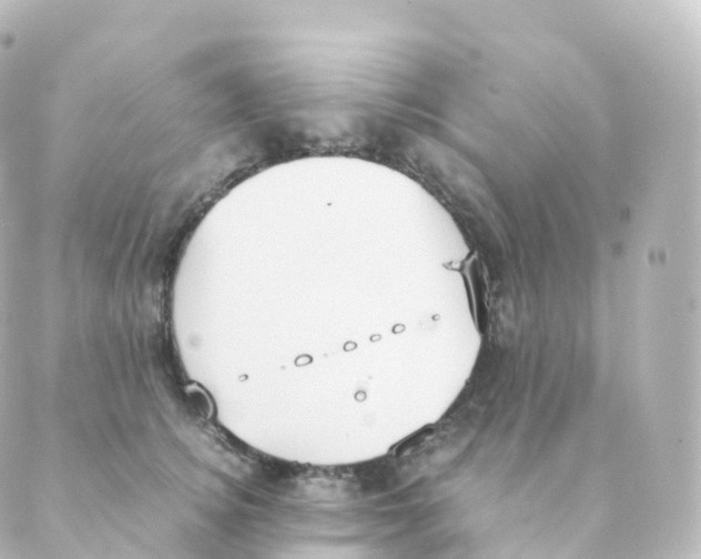 X0000088640756200706221545