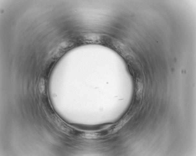 X0000088640758200706221545