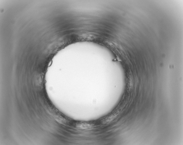 X0000088640759200706221545