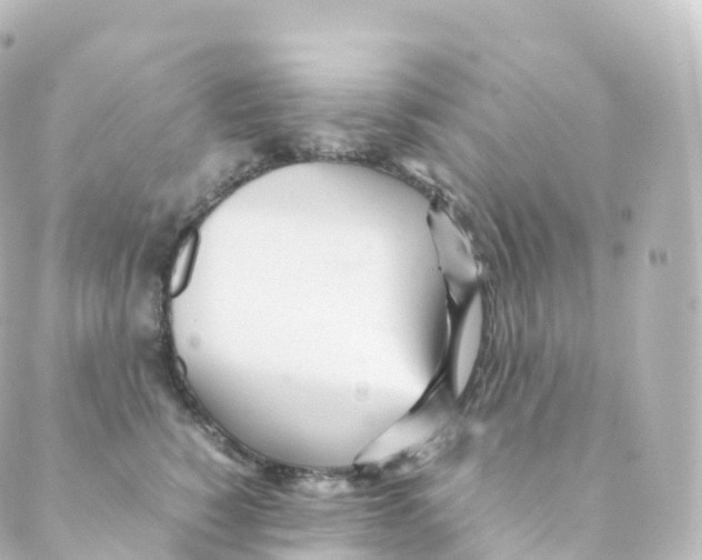 X0000088640760200706221545