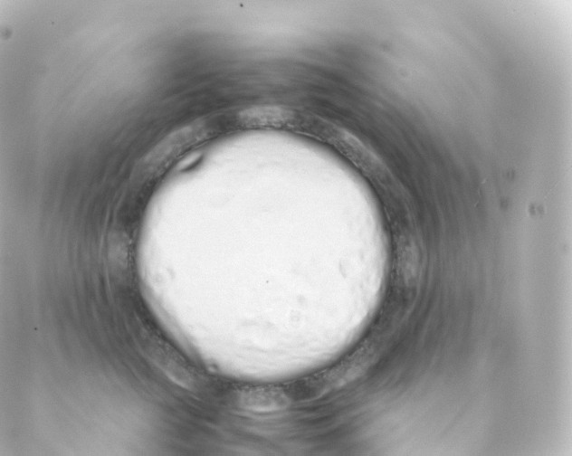 X0000088640761200706221545