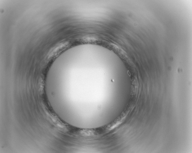 X0000088640762200706221545