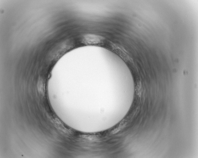 X0000088640763200706221545