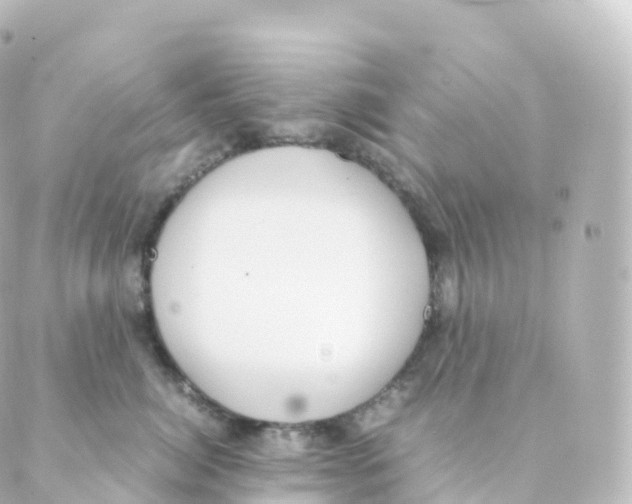 X0000088640764200706221545