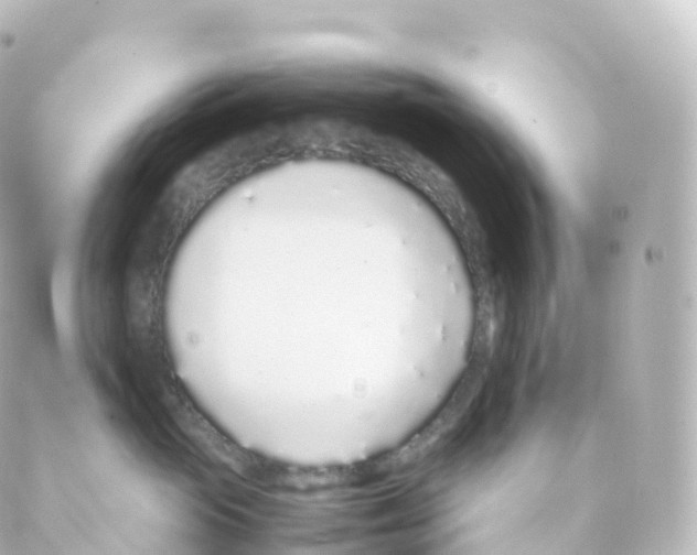 X0000088640765200706221545