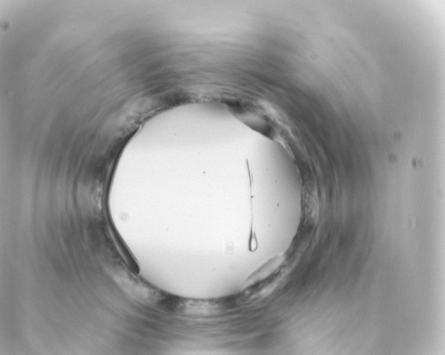 X0000088640766200706221545