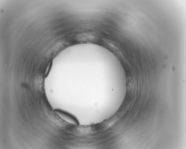 X0000088640767200706221545