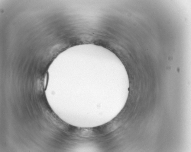 X0000088640768200706221545