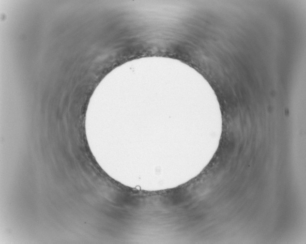 X0000088640769200706221545