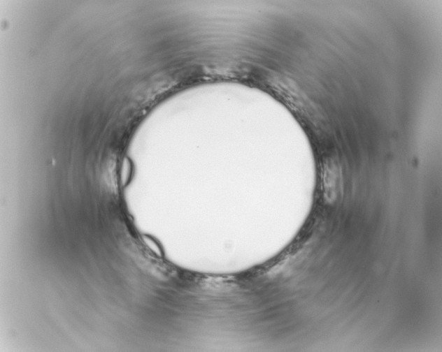 X0000088640770200706221545