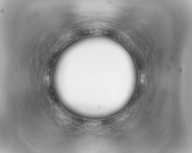 X0000088640771200706221545