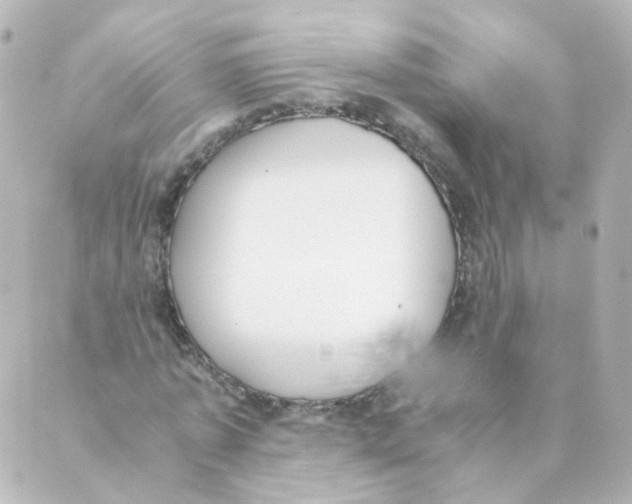 X0000088640773200706221545