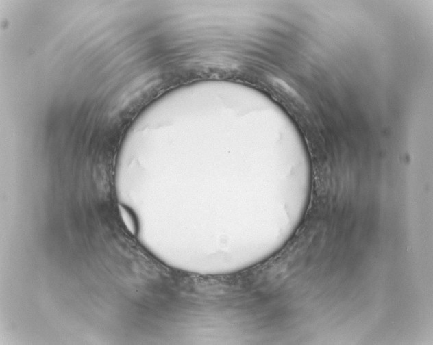 X0000088640774200706221545