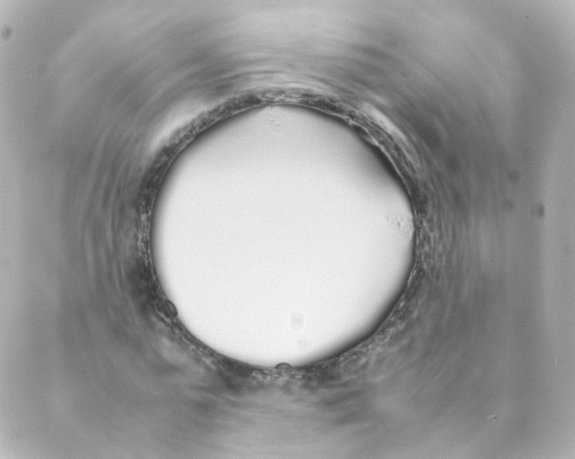 X0000088640775200706221545