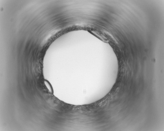 X0000088640776200706221545