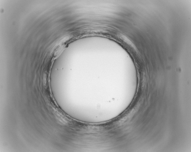 X0000088640777200706221545