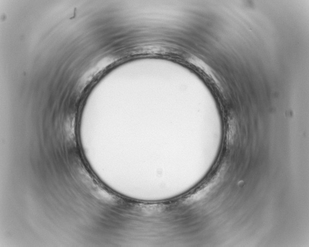 X0000088640778200706221545