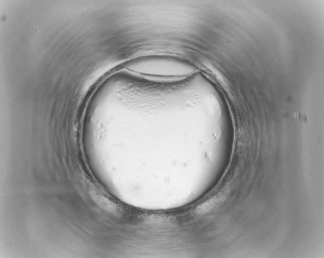 X0000088640779200706221545