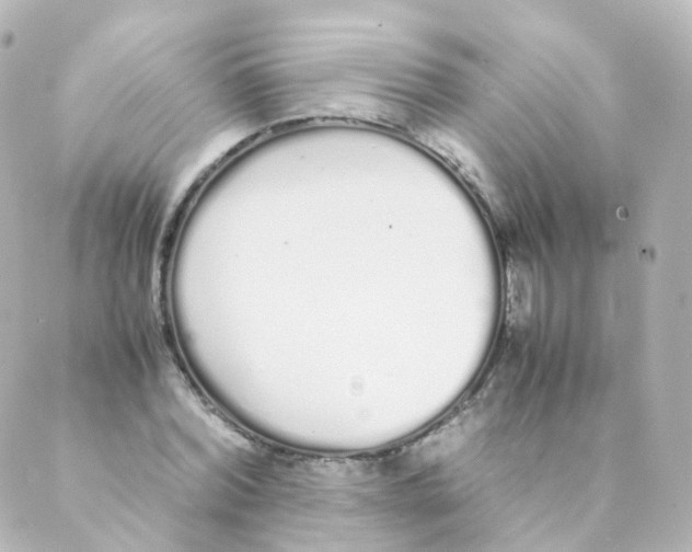 X0000088640780200706221545