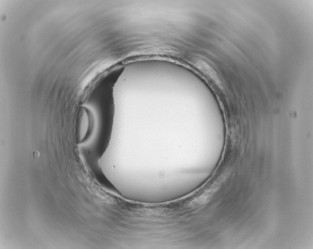 X0000088640781200706221544