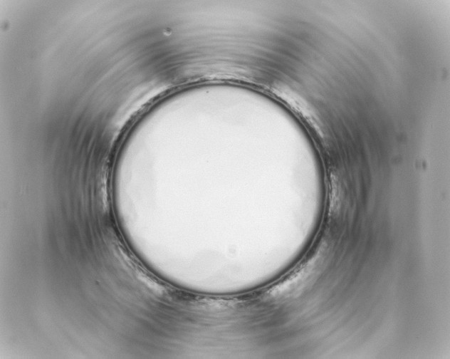 X0000088640782200706221544