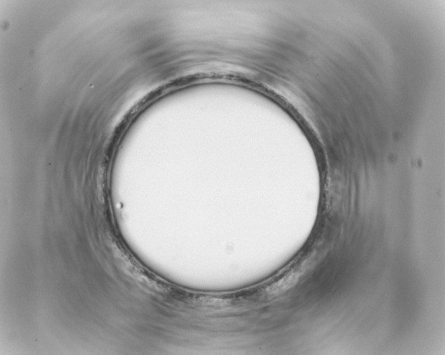 X0000088640783200706221544