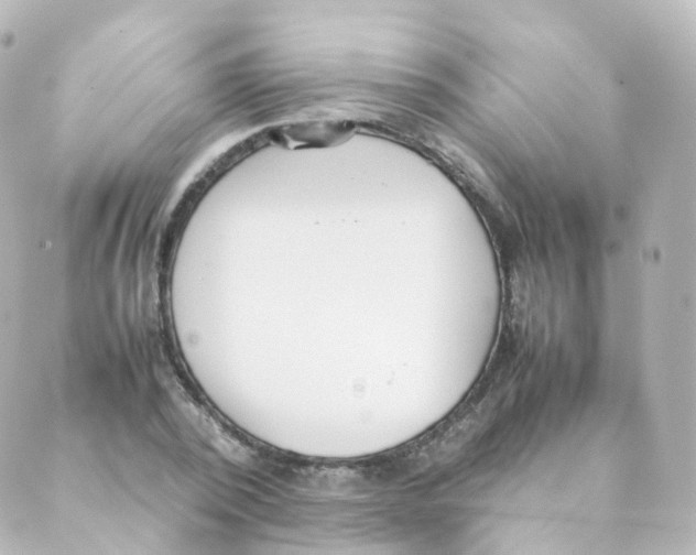 X0000088640784200706221544