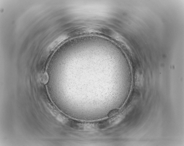 X0000088640785200706221544