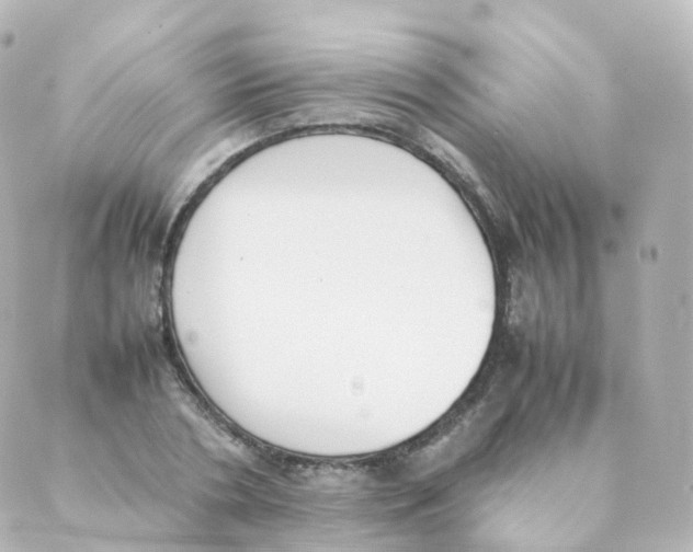 X0000088640786200706221544