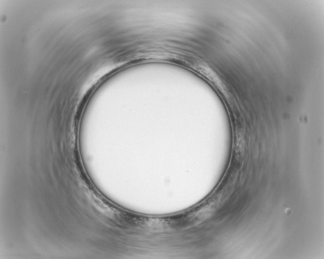 X0000088640787200706221544