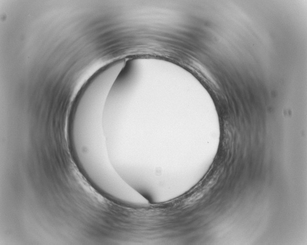 X0000088640788200706221544