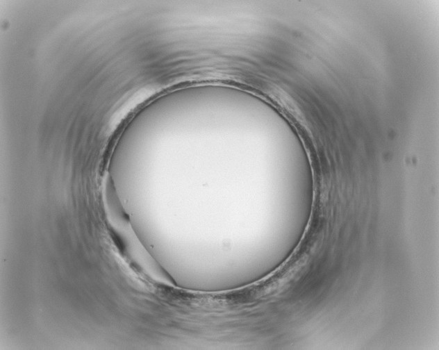 X0000088640789200706221544