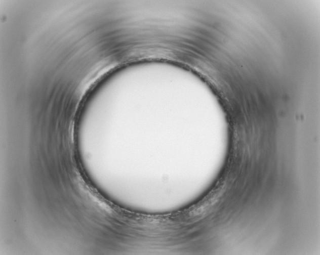 X0000088640790200706221544