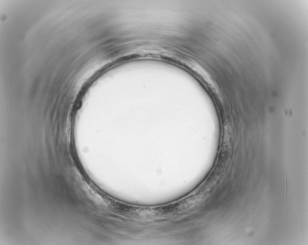 X0000088640791200706221544