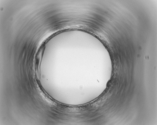 X0000088640792200706221544