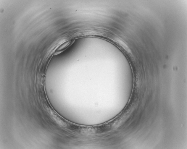 X0000088640793200706221544