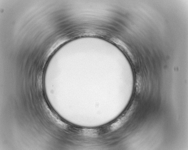 X0000088640794200706221544