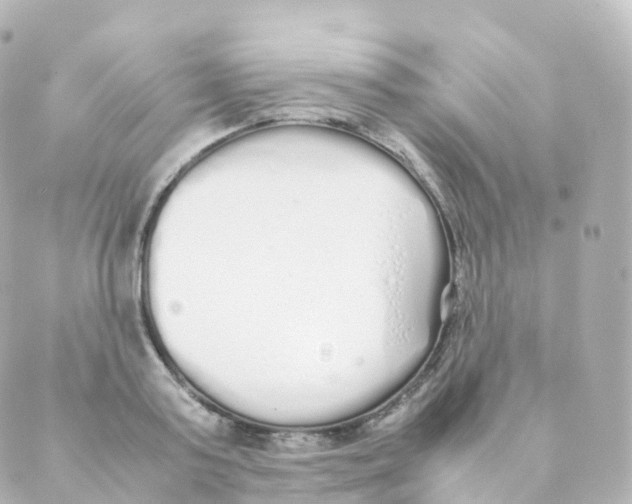 X0000088640795200706221544