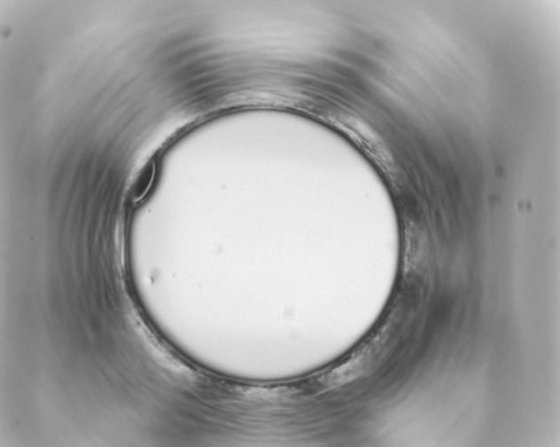 X0000088640796200706221544