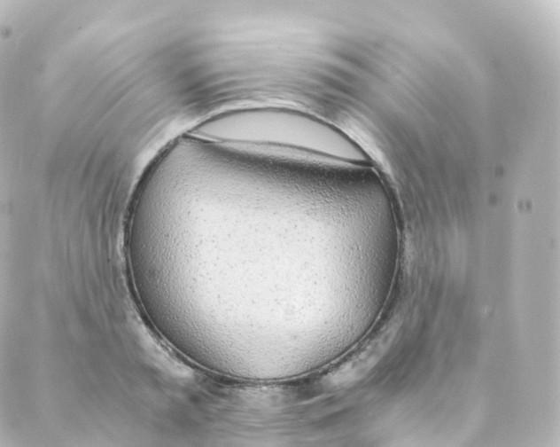 X0000088640797200706221544