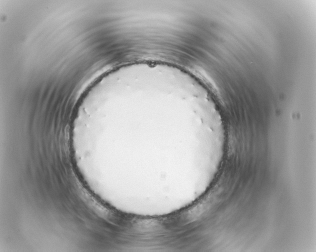 X0000088640798200706221544