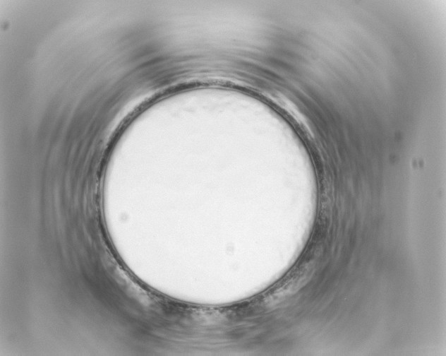 X0000088640799200706221544