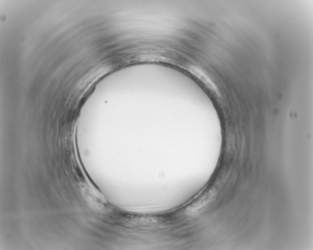 X0000088640801200706221544