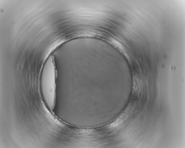 X0000088640802200706221544