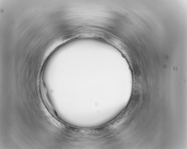 X0000088640803200706221544