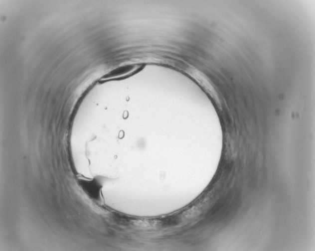 X0000088640805200706221544