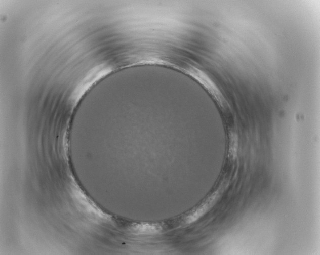 X0000088640806200706221544