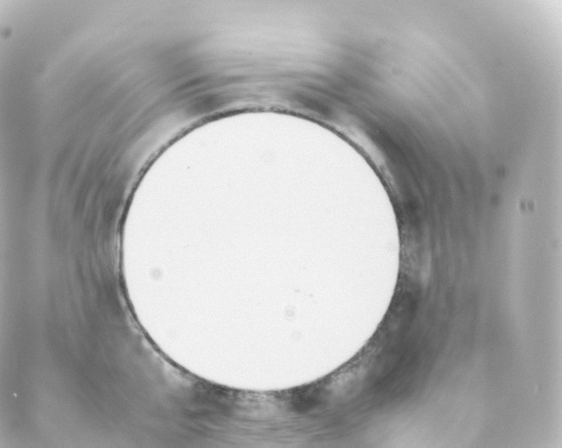 X0000088640807200706221544