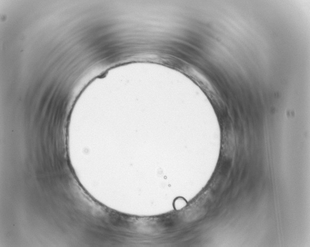 X0000088640808200706221544